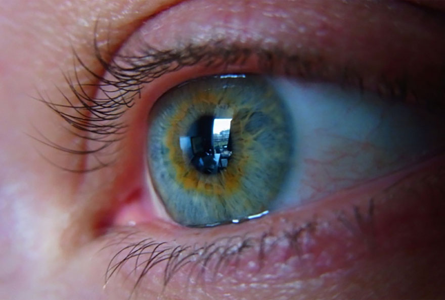 Night Vision and the Eye - Eye